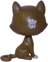 #146 Cat "Begonia Gatto"